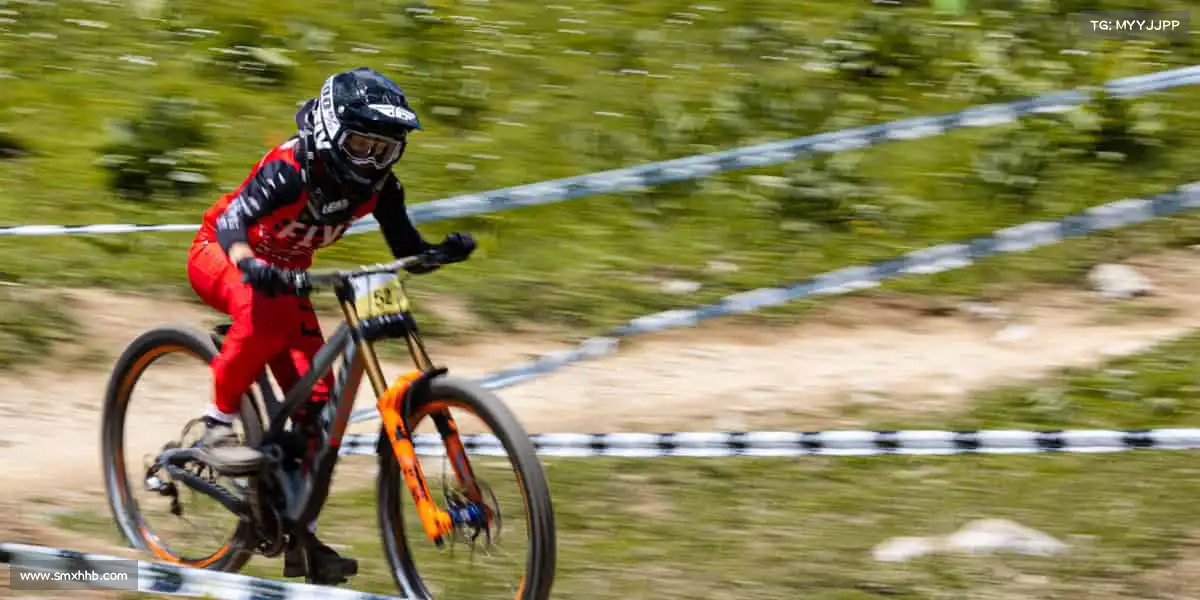 为什么选择我们